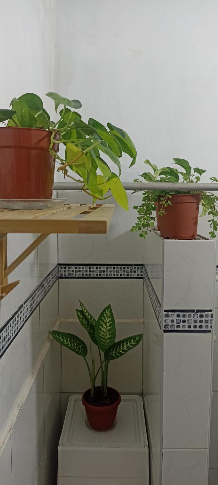 Alloggio in famiglia Casita Libertad Barranco